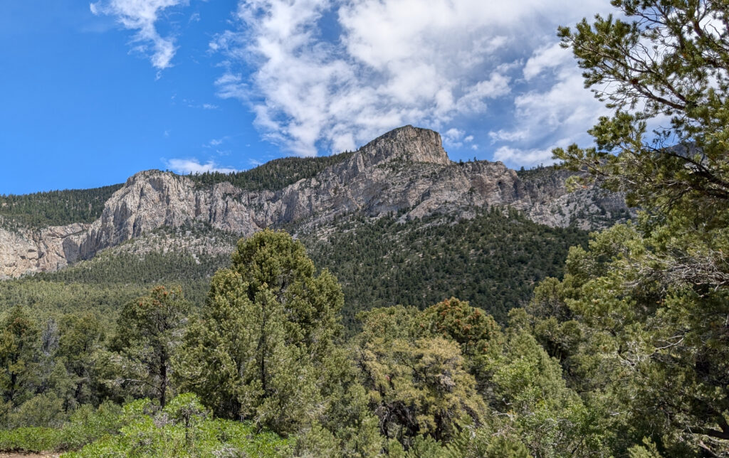 A scenic view from the Eagles Nest Trail at Mount Charleston, featuring a massive, rugged limestone cliff face under a bright blue sky with wispy white clouds. The lower half of the frame is filled with a dense forest of green pine and juniper trees, while the steep mountain slopes are dotted with sparse vegetation leading up to the sheer rock peaks.