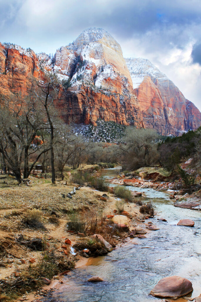 A vertical landscape of Zion National Park in winter. A shallow, rocky river flows through the foreground, flanked by dormant leafless trees and sandy banks. In the background, massive red sandstone cliffs rise sharply toward a moody, overcast sky. The upper peaks and crevices of the mountains are dusted with fresh white snow, creating a sharp contrast against the deep orange and red rock faces.