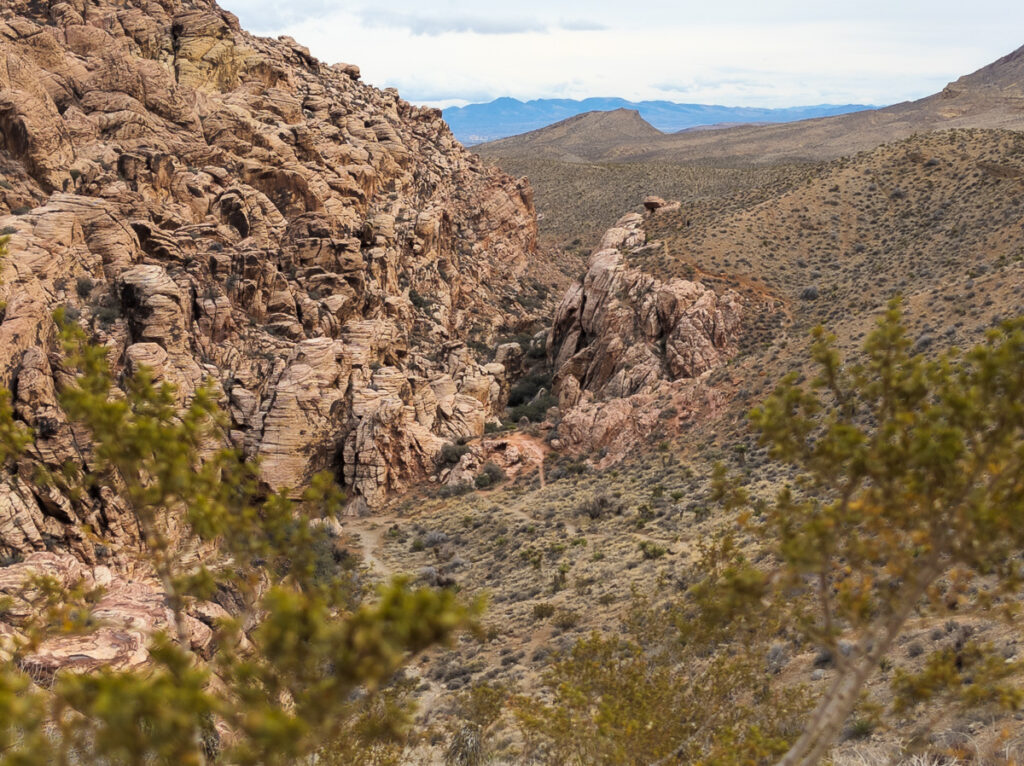 Scenic view of layered rock formations and desert vegetation at Red Rock Canyon National Conservation Area.