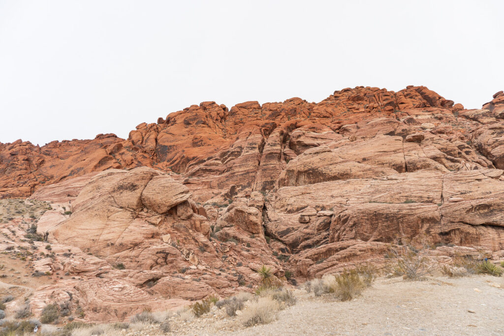 Red and tan sandstone cliffs rising above the desert landscape at Red Rock Canyon near Las Vegas, Nevada.